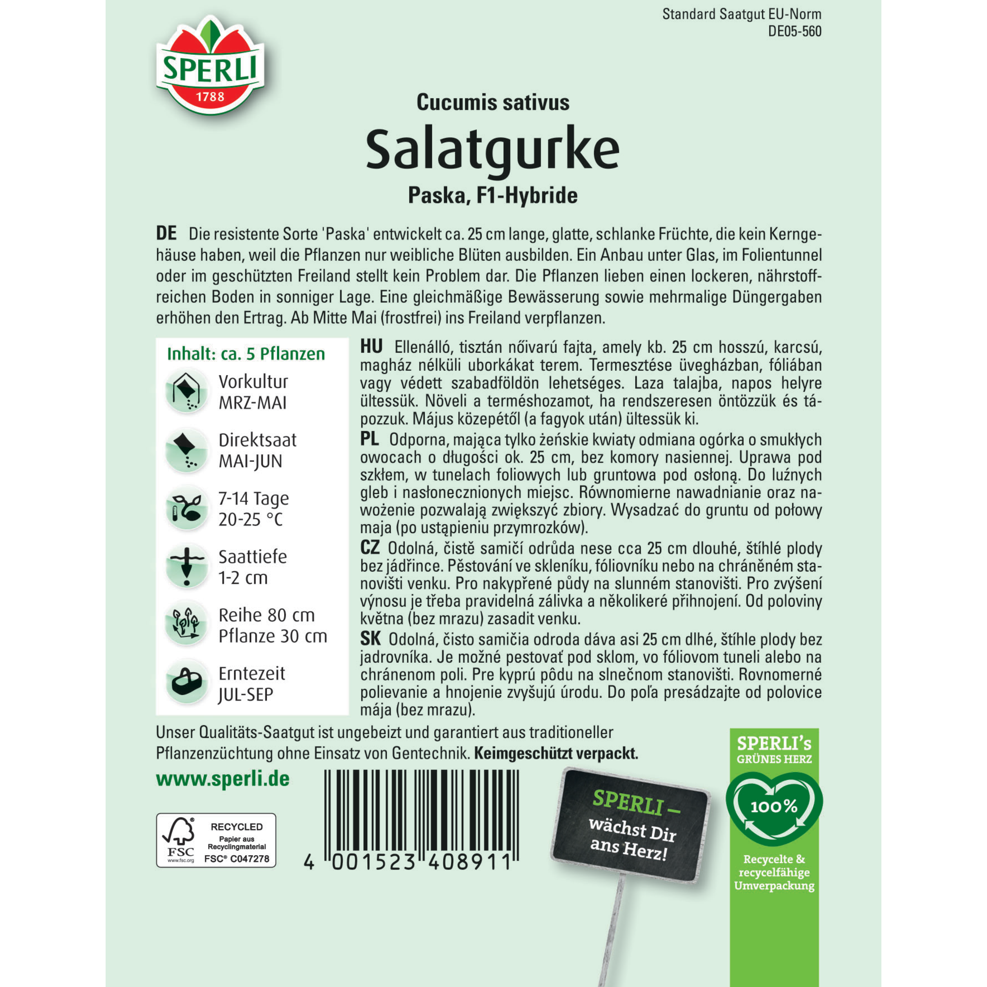 Salatgurke 'Paska' F1-Hybride