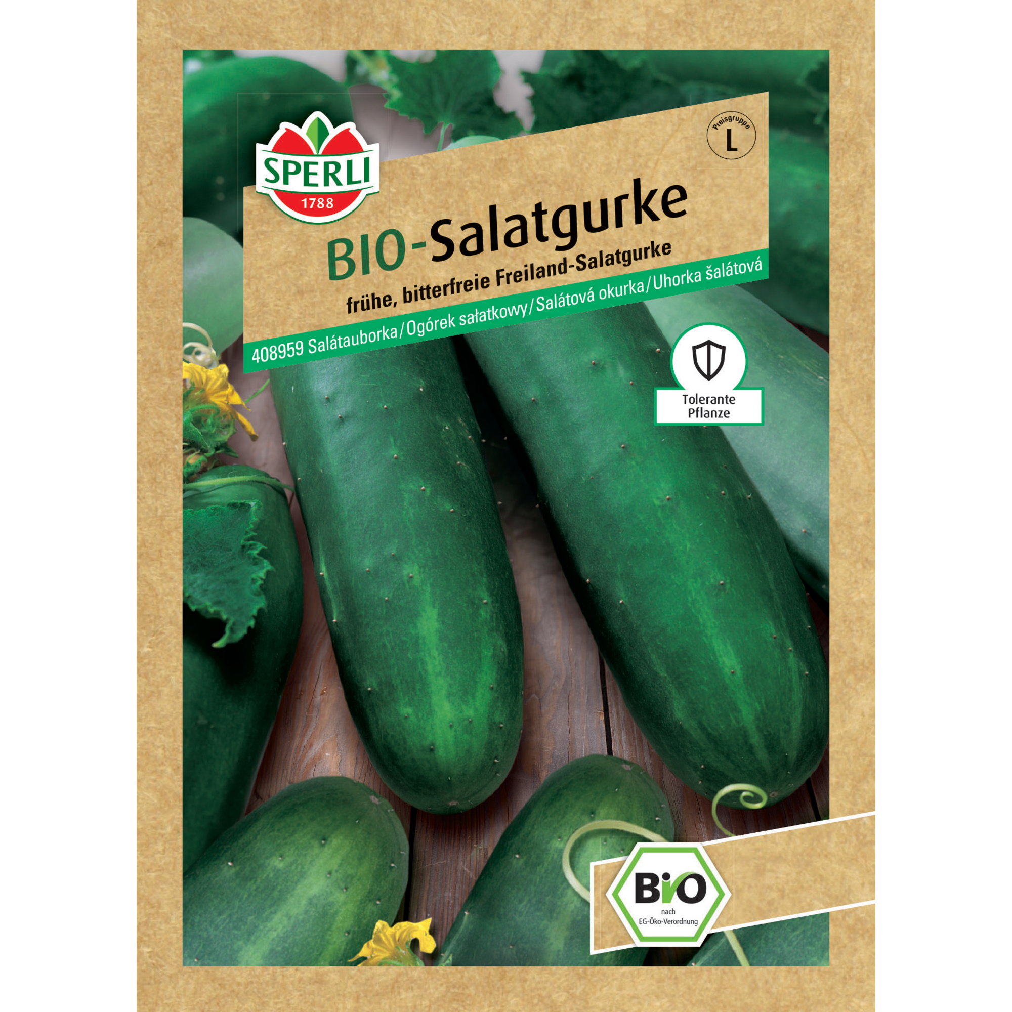 BIO-Salatgurke 'Sonja'