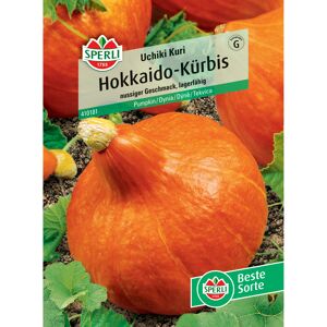 Hokkaido-Kürbis 'Uchiki Kuri'