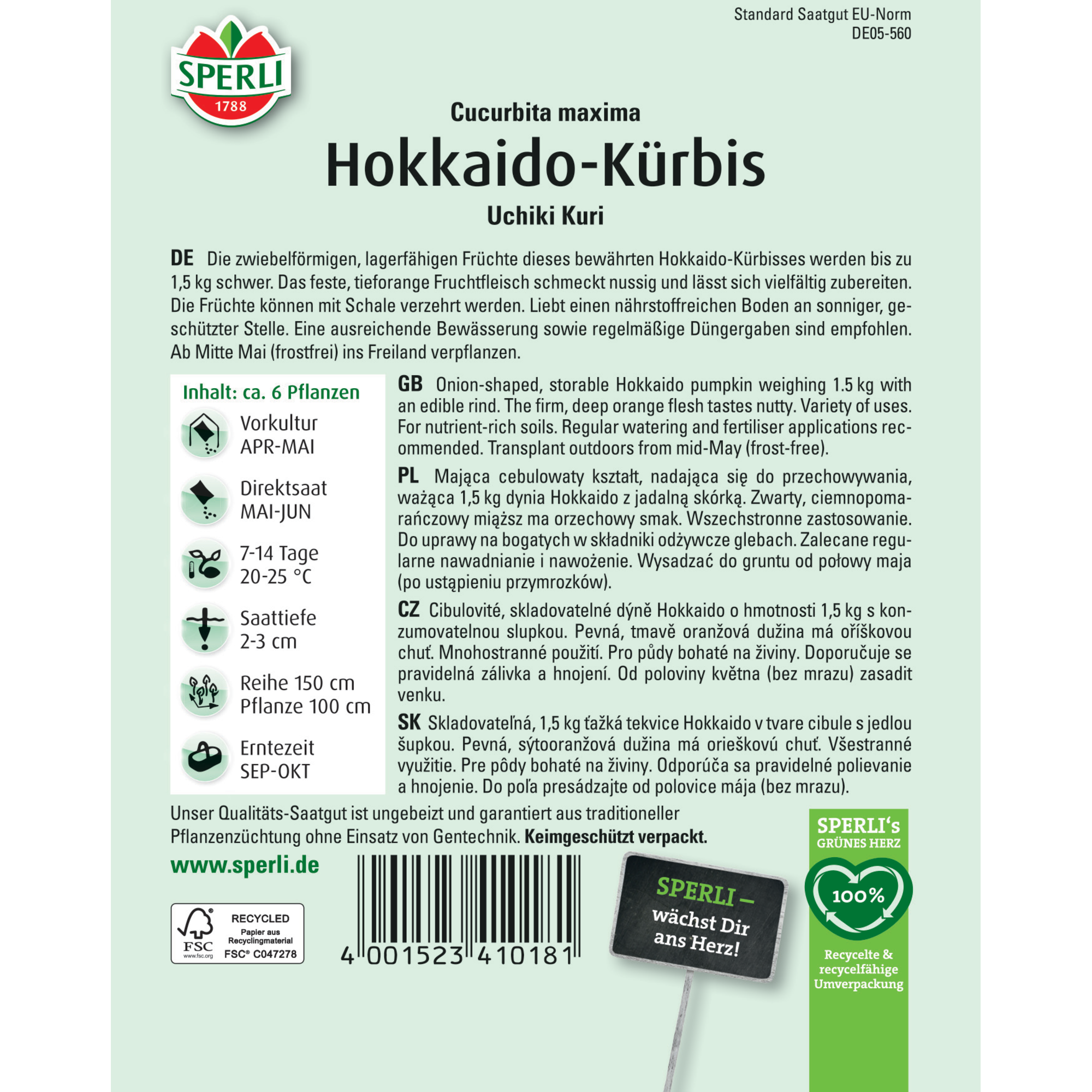 Hokkaido-Kürbis 'Uchiki Kuri'
