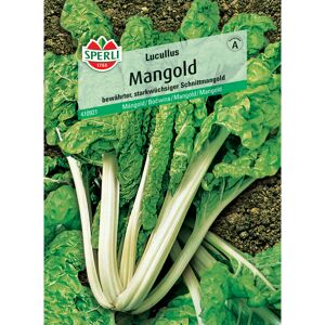 Mangold 'Lucullus'