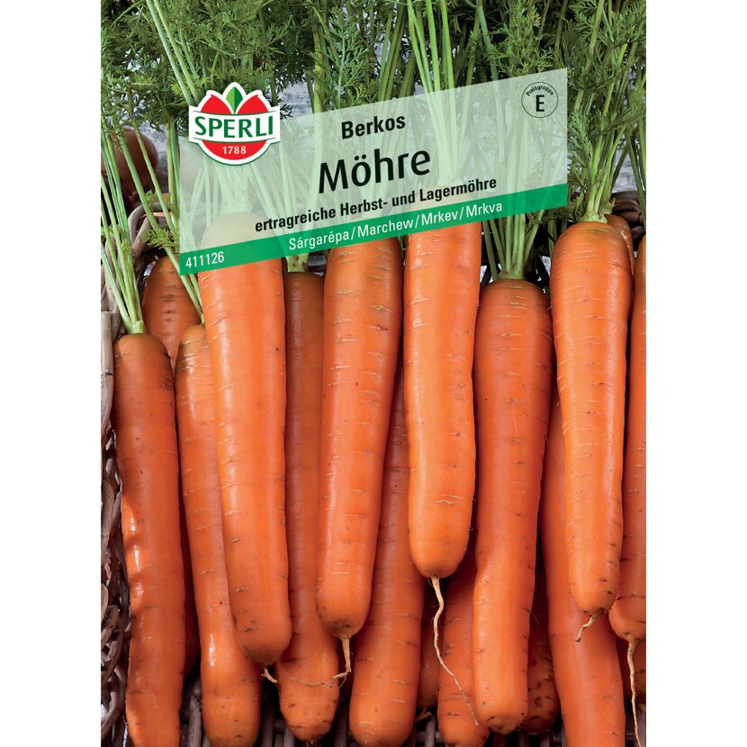 Möhre 'Berkos' F1-Hybride