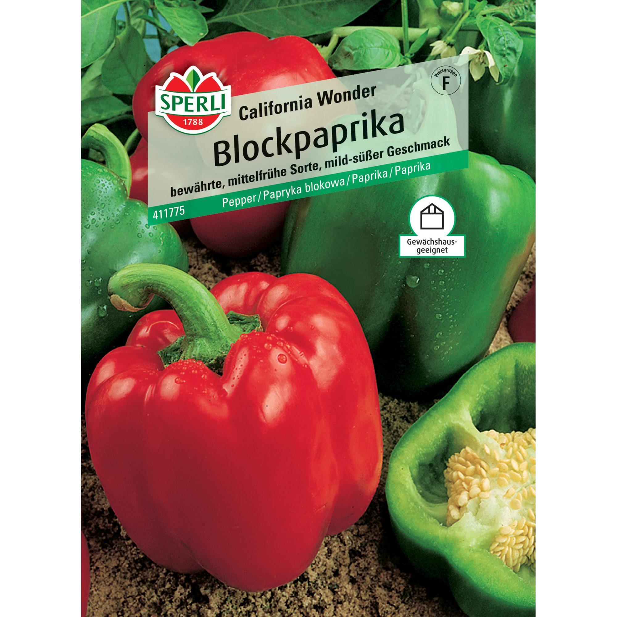 Blockpaprika 'California Wonder'