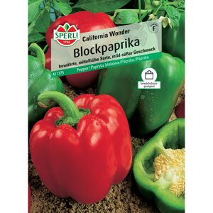 Blockpaprika 'California Wonder'