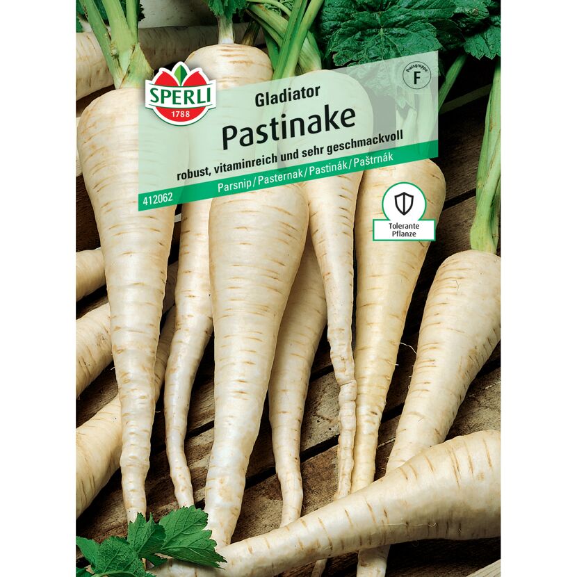 Pastinake 'Gladiator' F1-Hybride