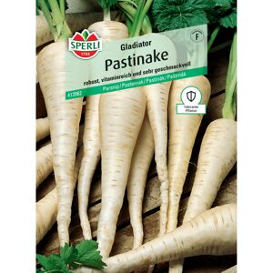 Pastinake 'Gladiator' F1-Hybride