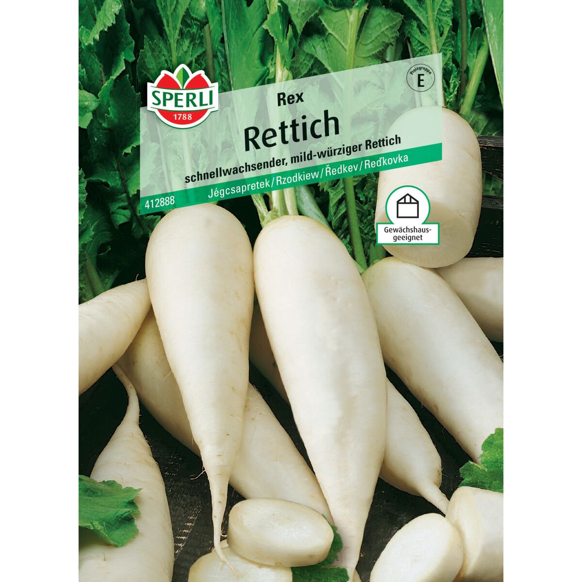 Keime Rettich Rettich 'Rex' | toom Baumarkt