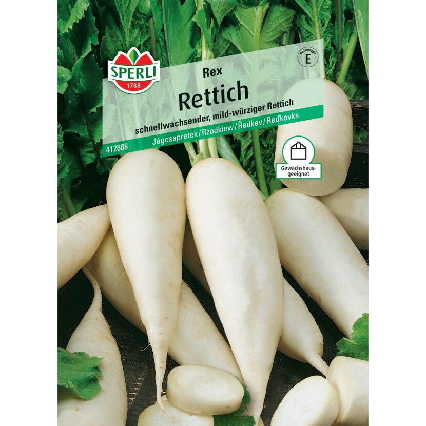 Rettich 'Rex'