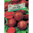 Rote Bete 'SPERLI`s Rote Kugel 2'