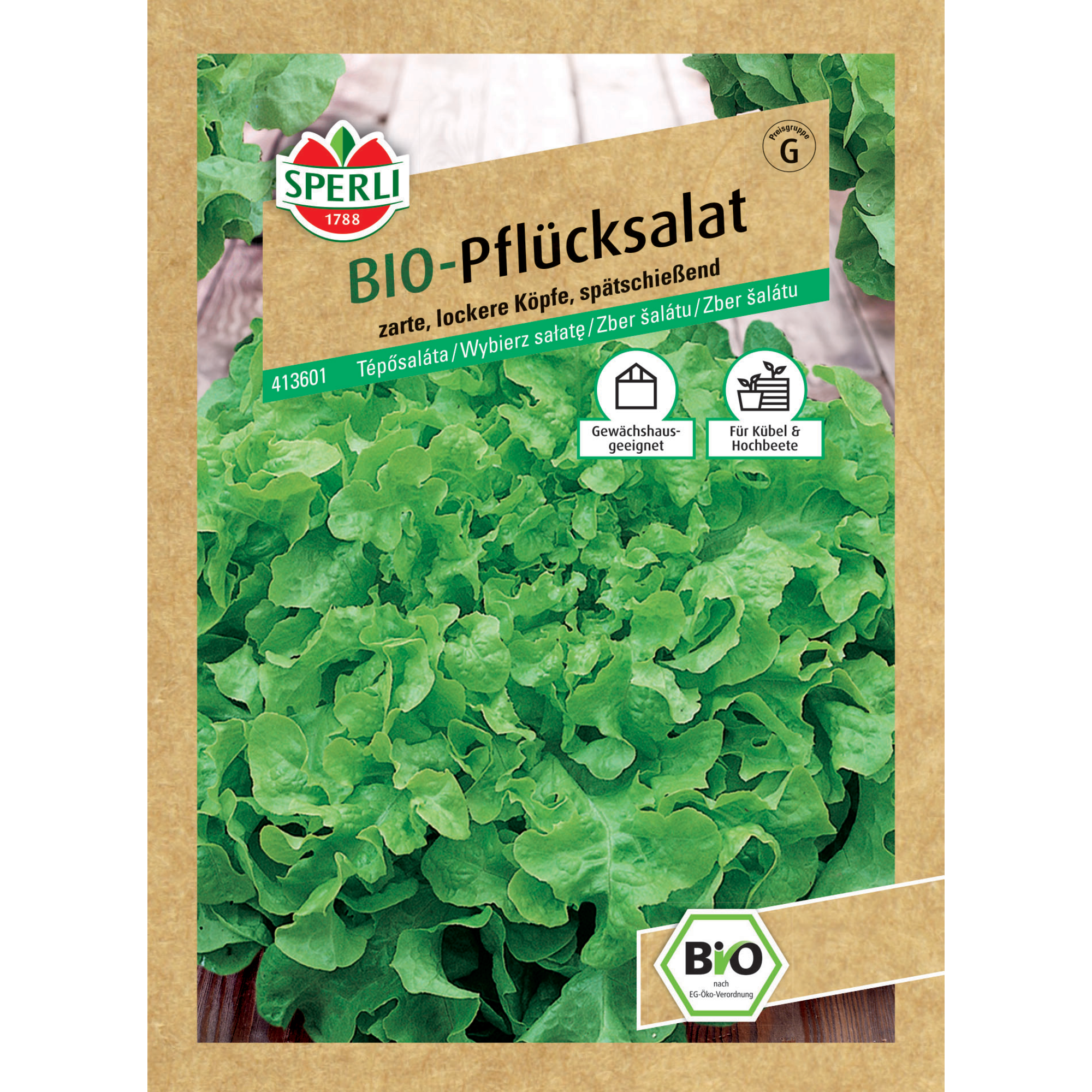 BIO-Pflücksalat 'Salad Bowl'