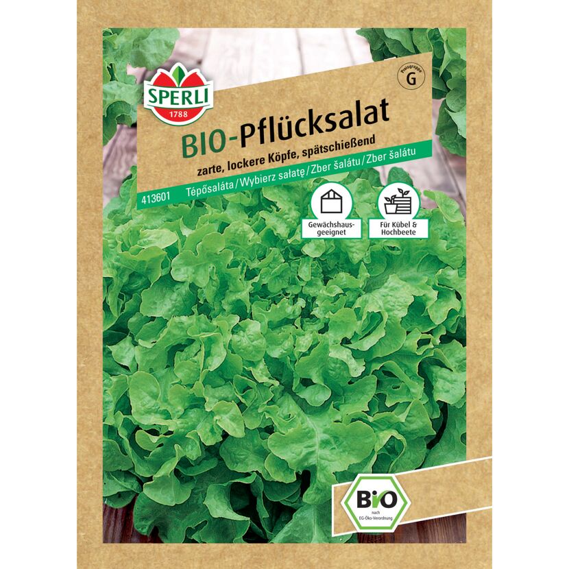BIO-Pflücksalat 'Salad Bowl'