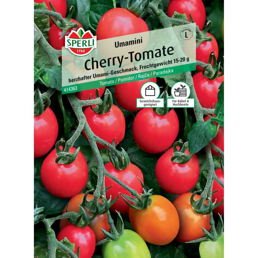 Cherry-Tomate 'Umamini' F1-Hybride