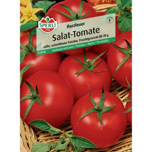 Salat-Tomate 'Harzfeuer' F1-Hybride