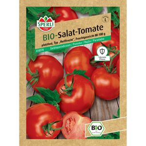 BIO-Salat-Tomate 'Diplom' F1-Hybride