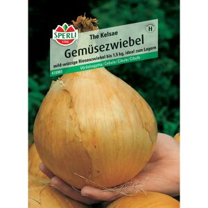 Gemüsezwiebel 'The Kelsae'