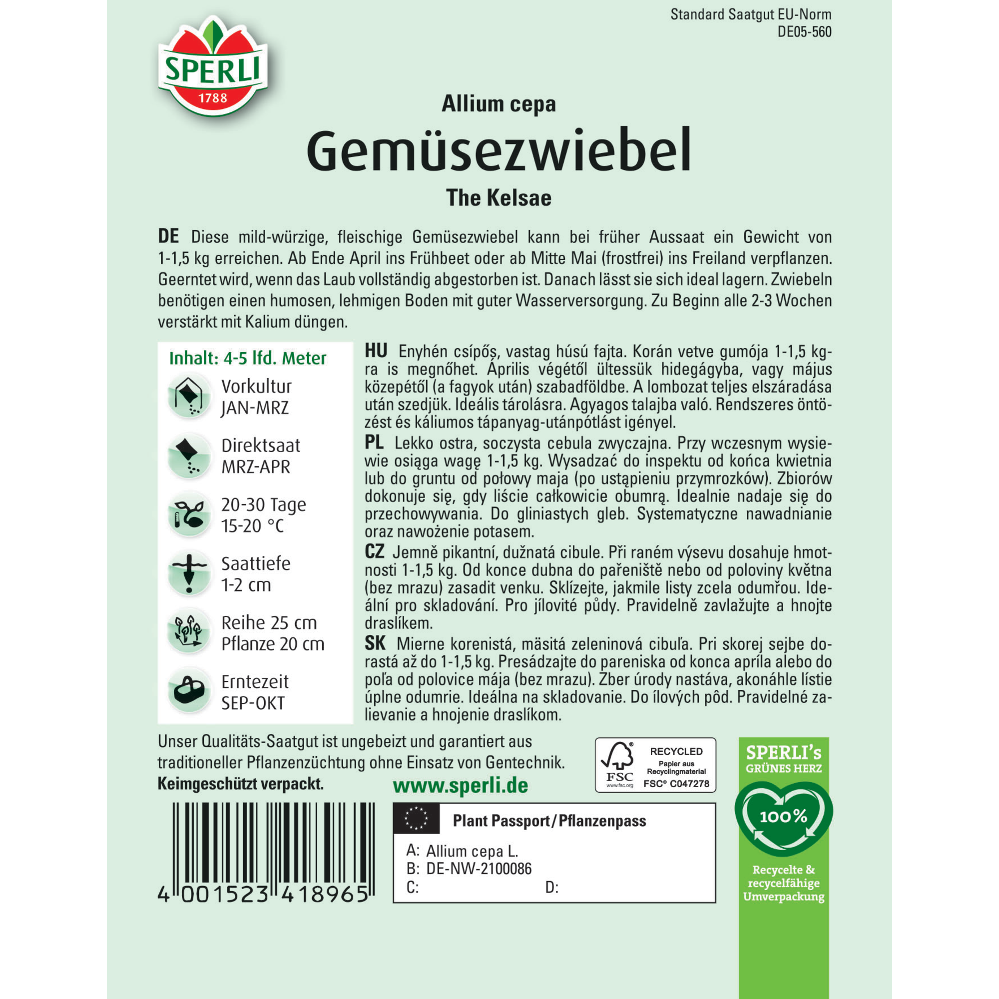 Gemüsezwiebel 'The Kelsae'