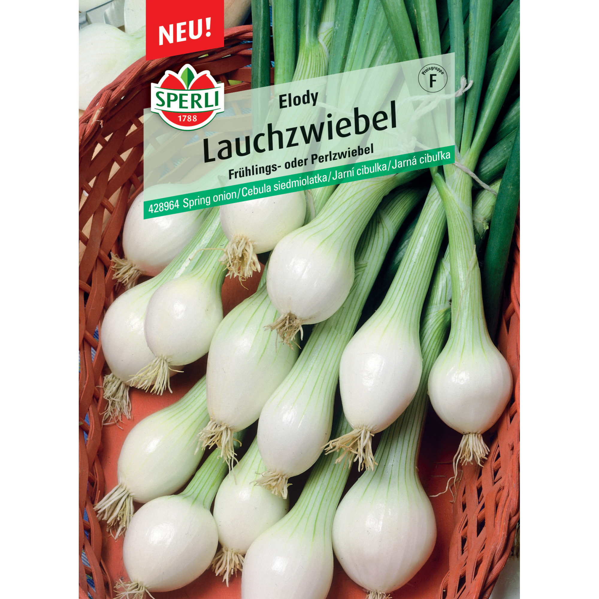 Lauchzwiebel 'Elody'