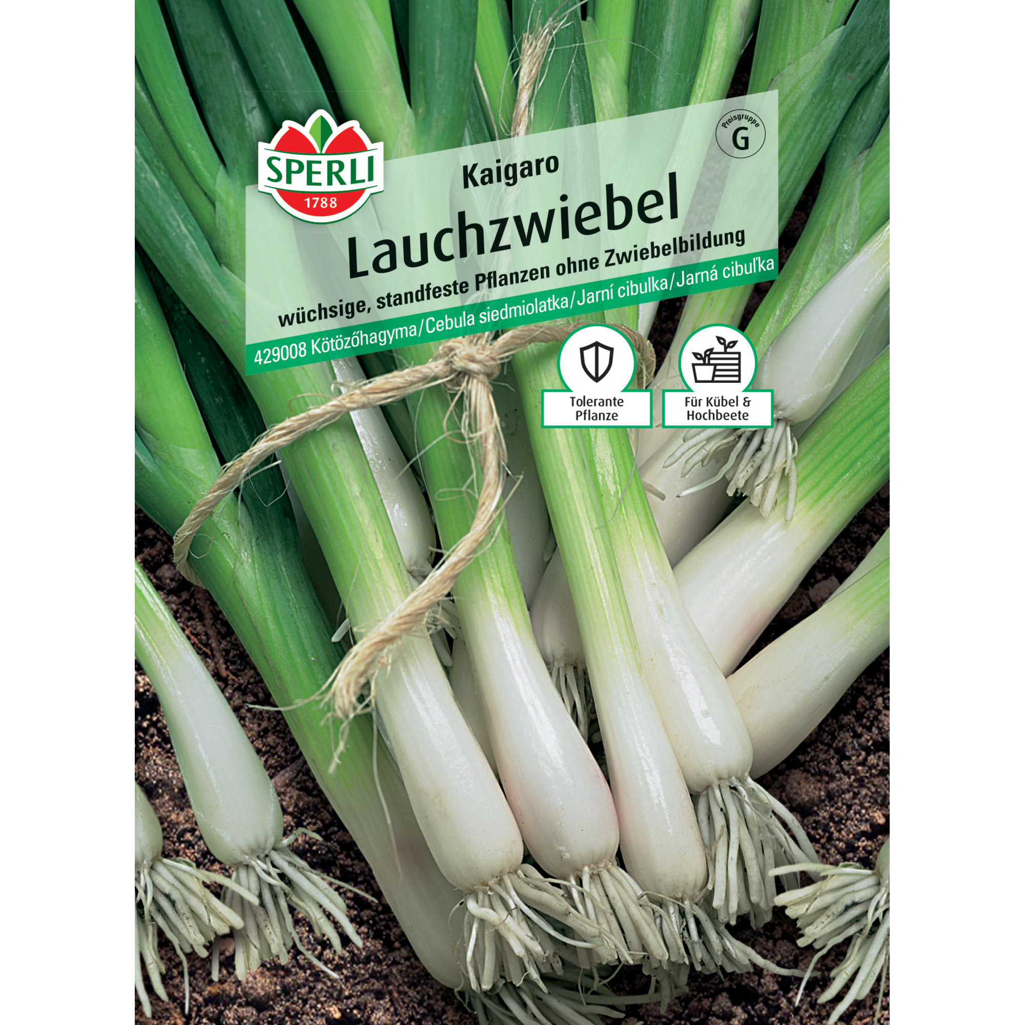Lauchzwiebel 'Kaigaro'