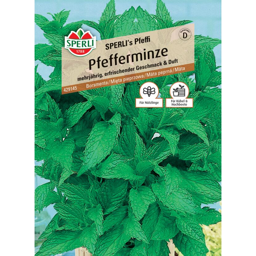 Pfefferminze 'SPERLI's Pfeffi'