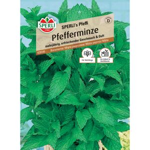 Pfefferminze 'SPERLI's Pfeffi'