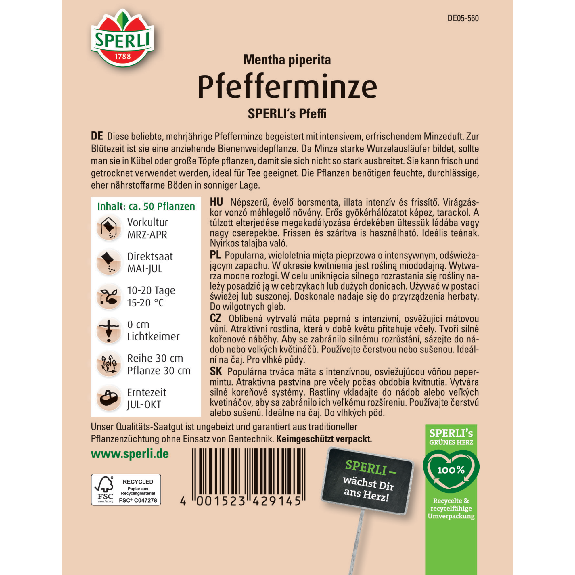 Pfefferminze 'SPERLI's Pfeffi'