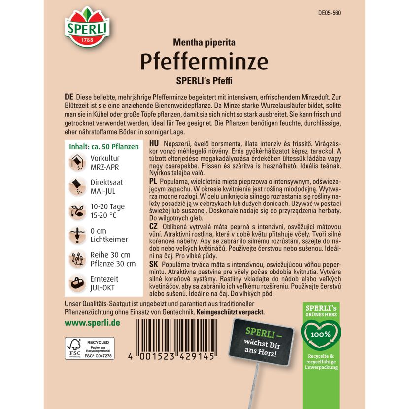 Pfefferminze 'SPERLI's Pfeffi'