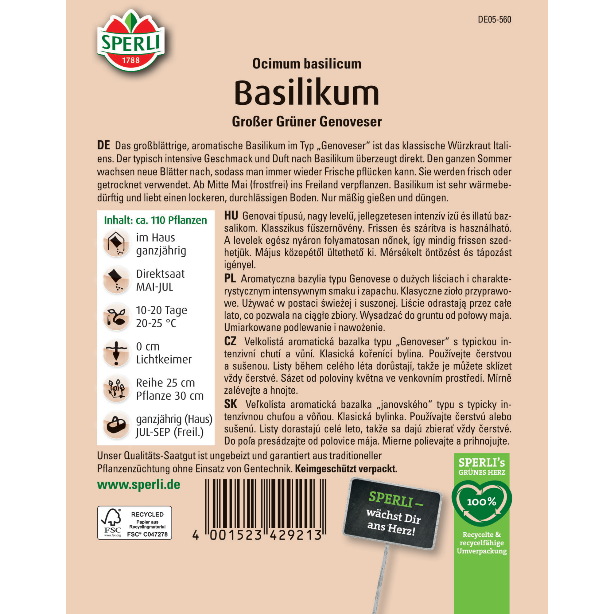 Basilikum 'Großer Grüner Genoveser'