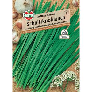 Schnittknoblauch 'SPERLI's Knolau'