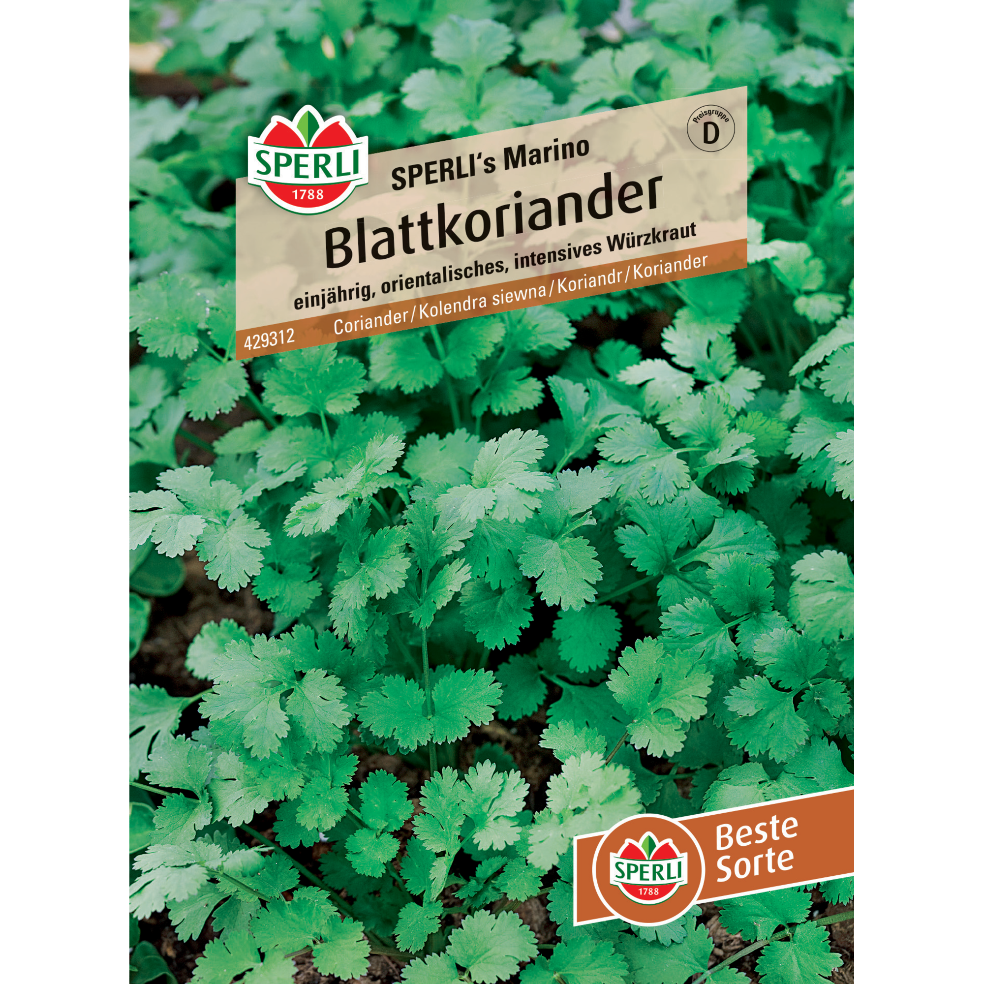 Blattkoriander 'SPERLI's Marino'