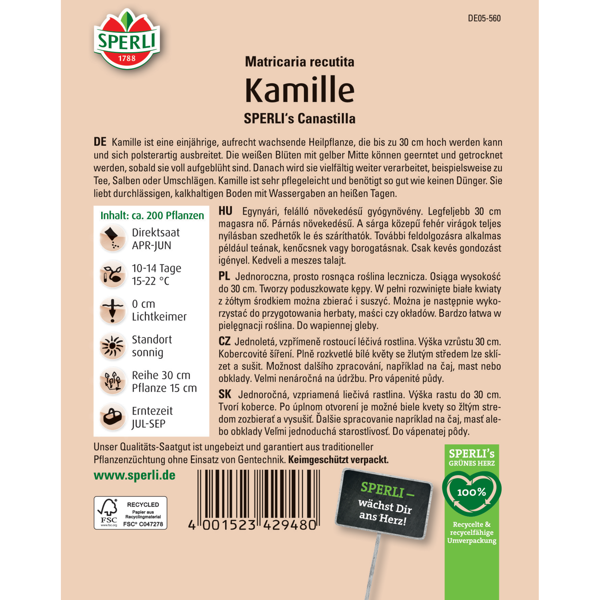 Kamille 'SPERLI's Canastilla'