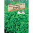 Oregano 'SPERLI's Kleiner Italiener'