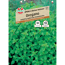 Oregano 'SPERLI's Kleiner Italiener'