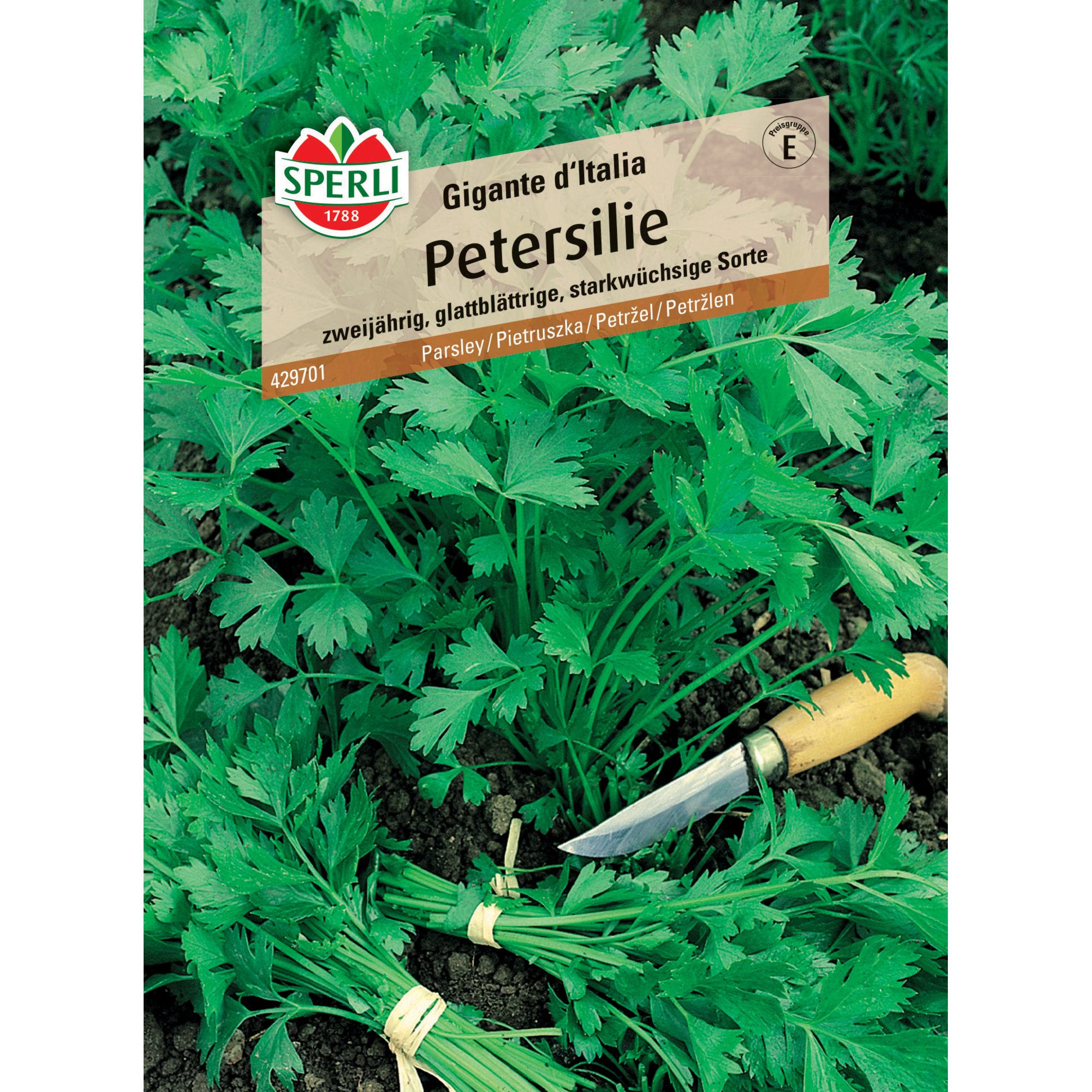 Petersilie 'Gigante d'Italia'