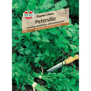 Petersilie 'Gigante d'Italia'