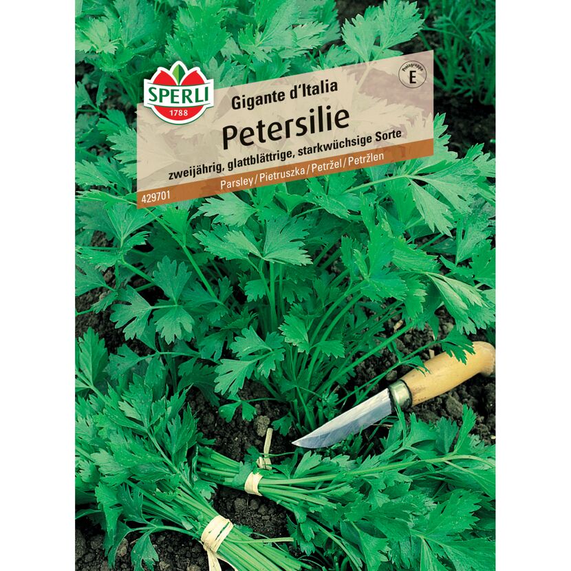 Petersilie 'Gigante d'Italia'