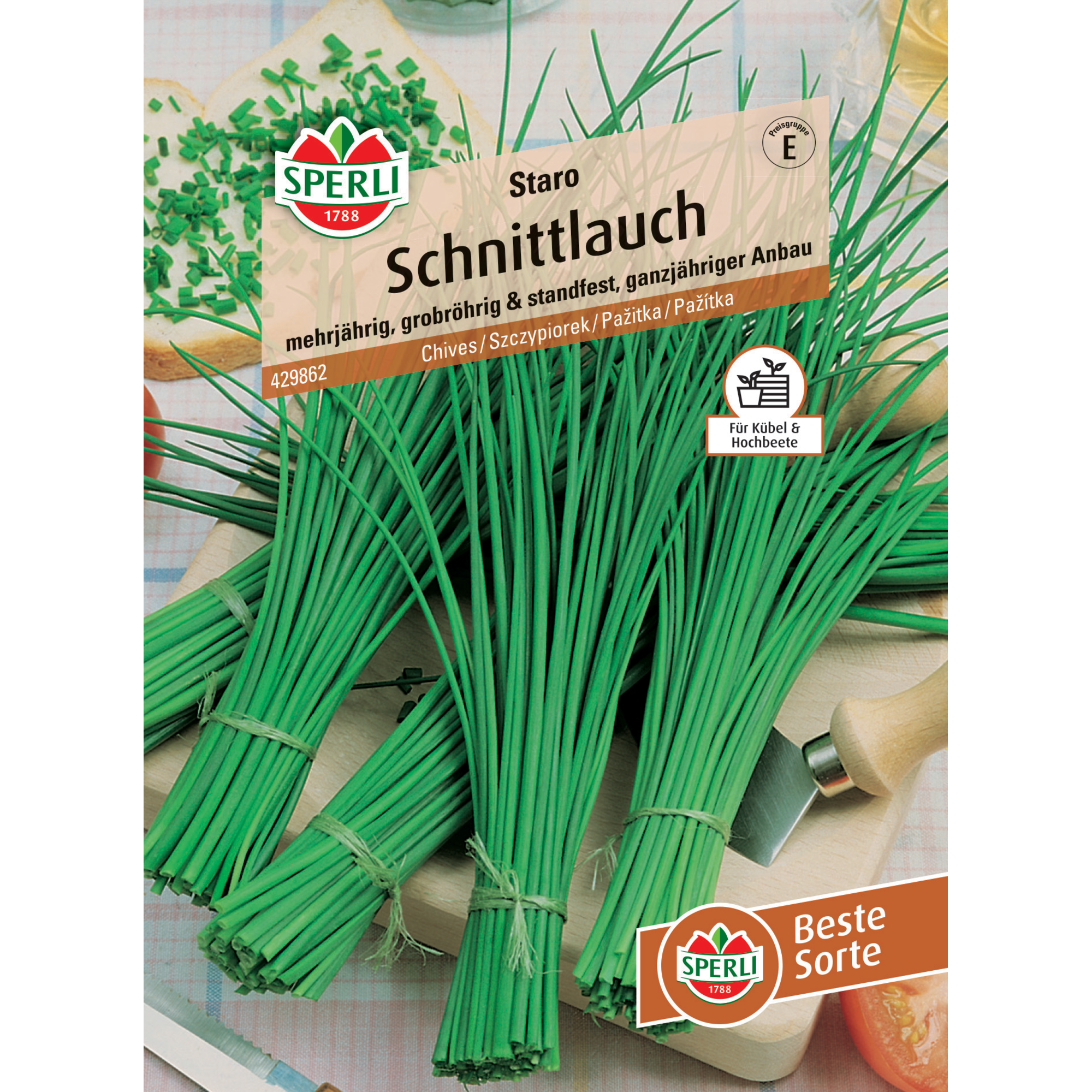 Schnittlauch 'Staro'