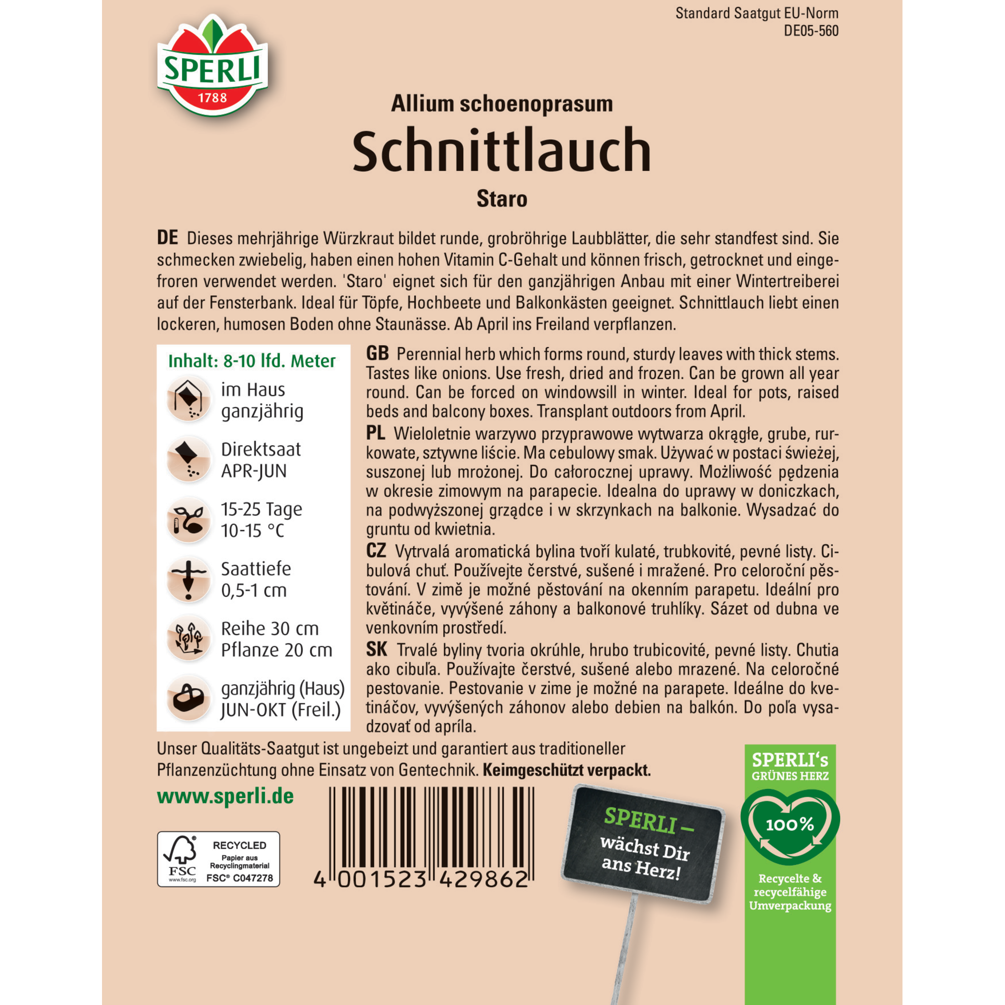 Schnittlauch 'Staro'