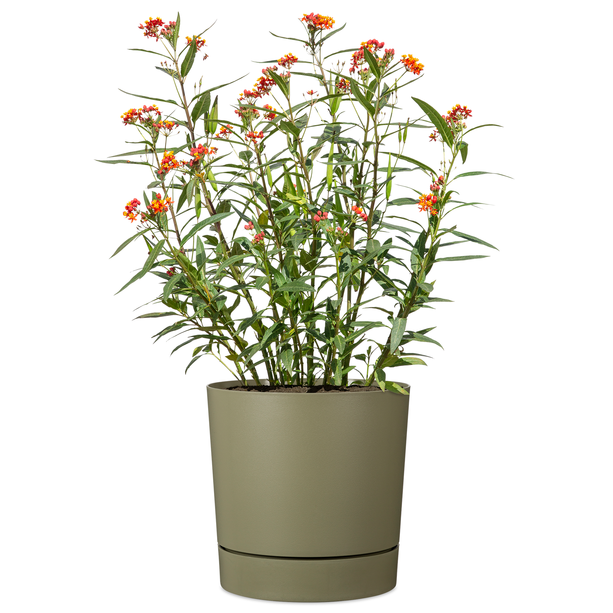 Pflanzgefäß '235 Plano+' Kunststoff Moss green Ø 38,7 x 38 cm