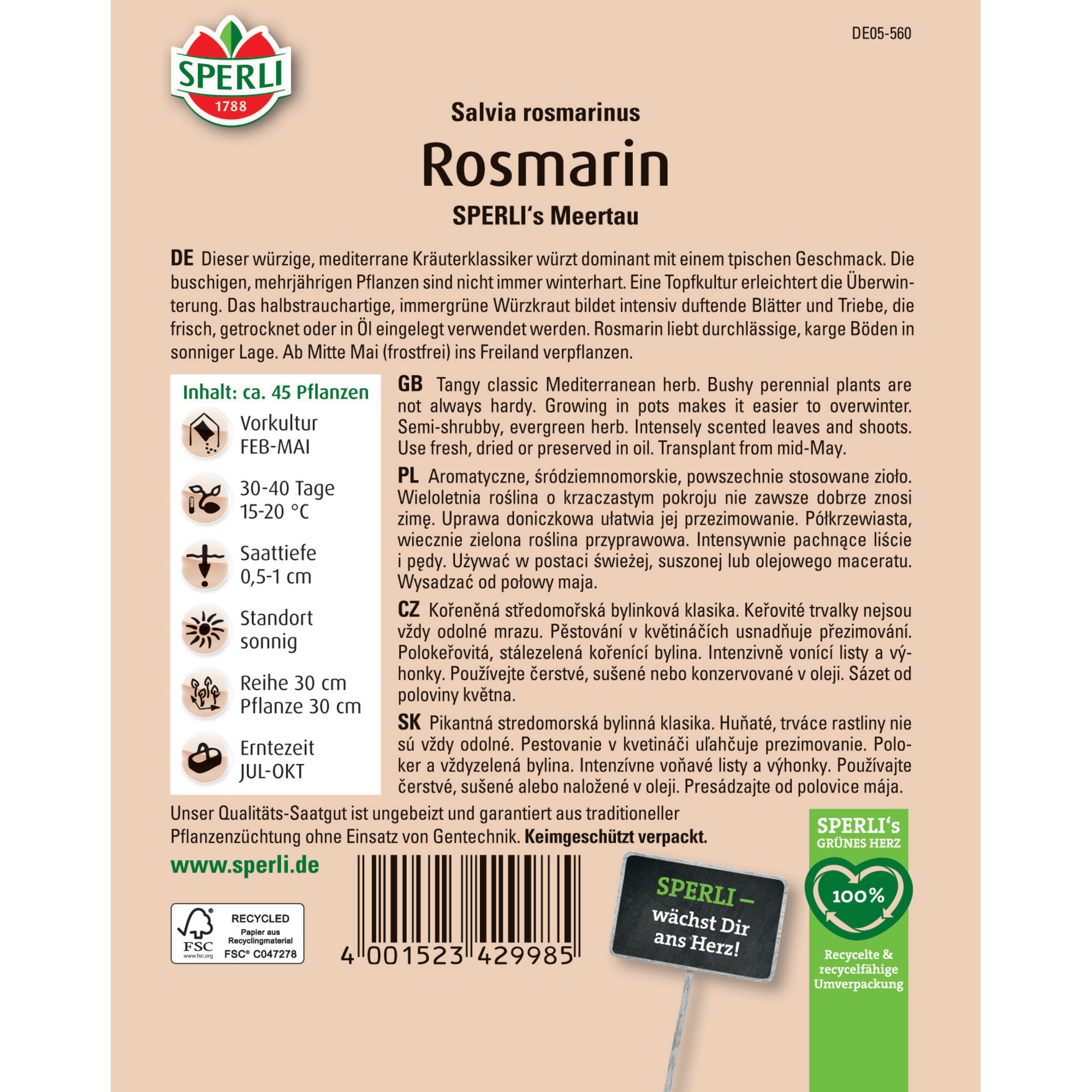 Rosmarin 'SPERLI's Meertau'