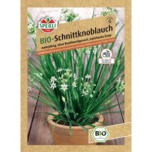 BIO-Schnittknoblauch