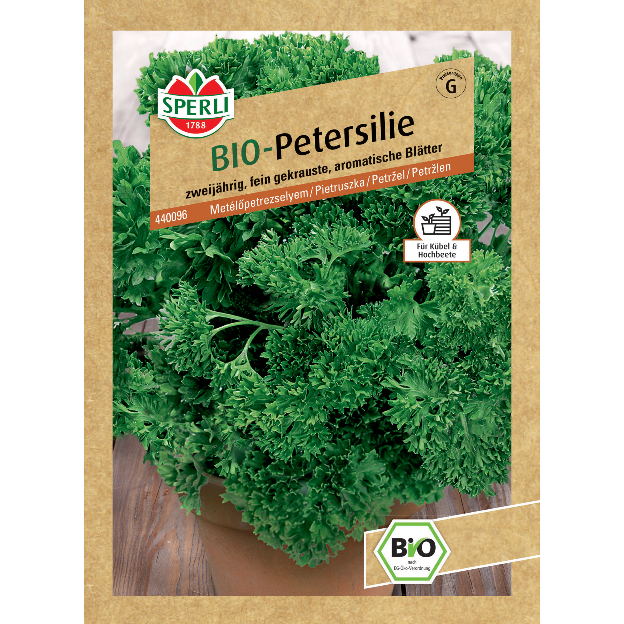 BIO-Petersilie 'Grüne Perle'