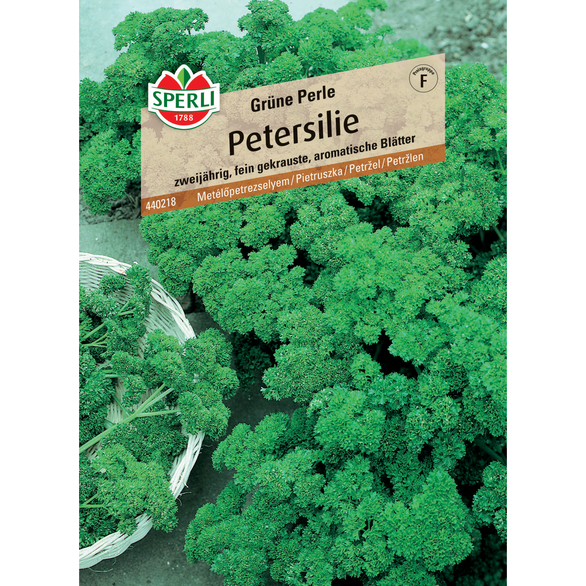 Petersilie 'Grüne Perle'