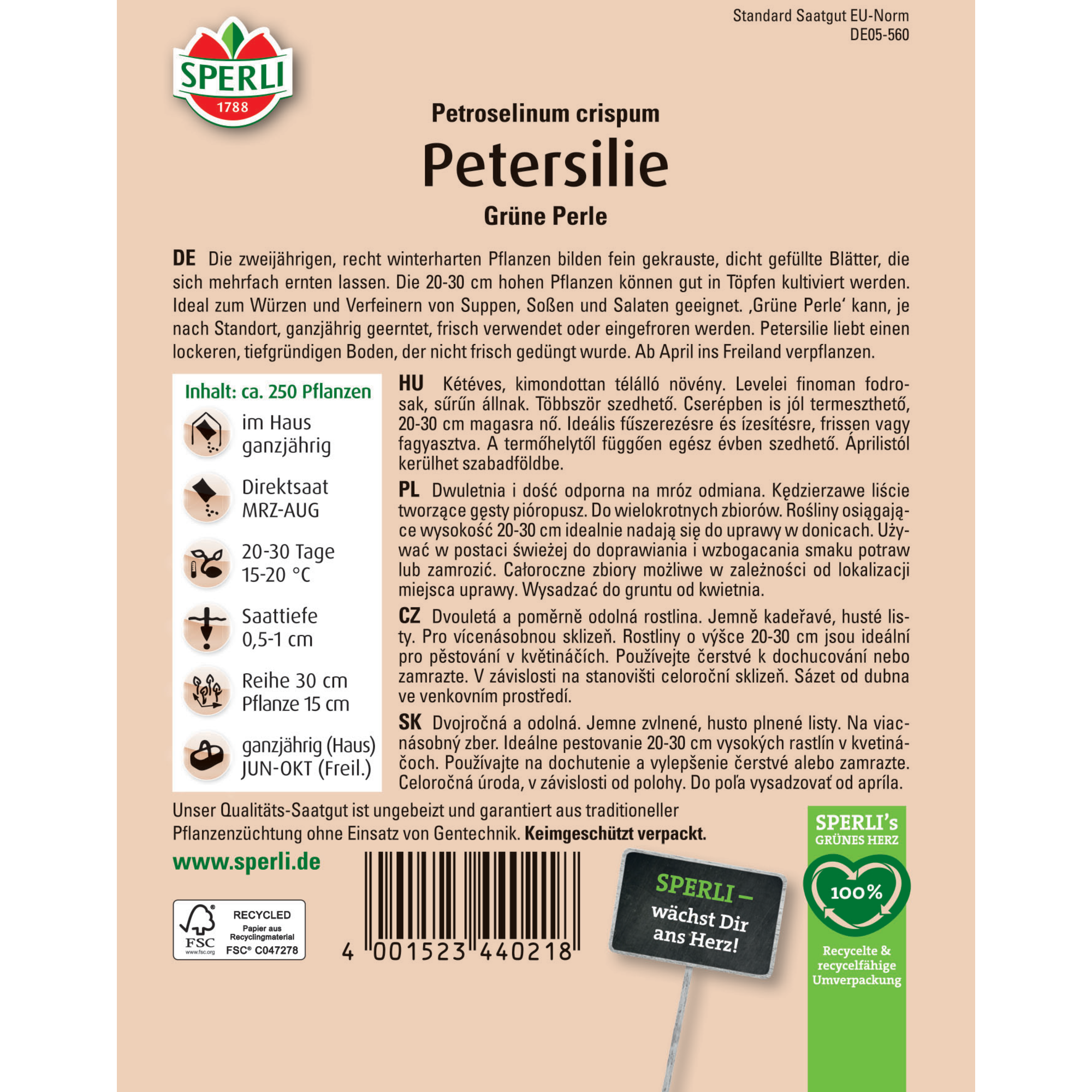 Petersilie 'Grüne Perle'