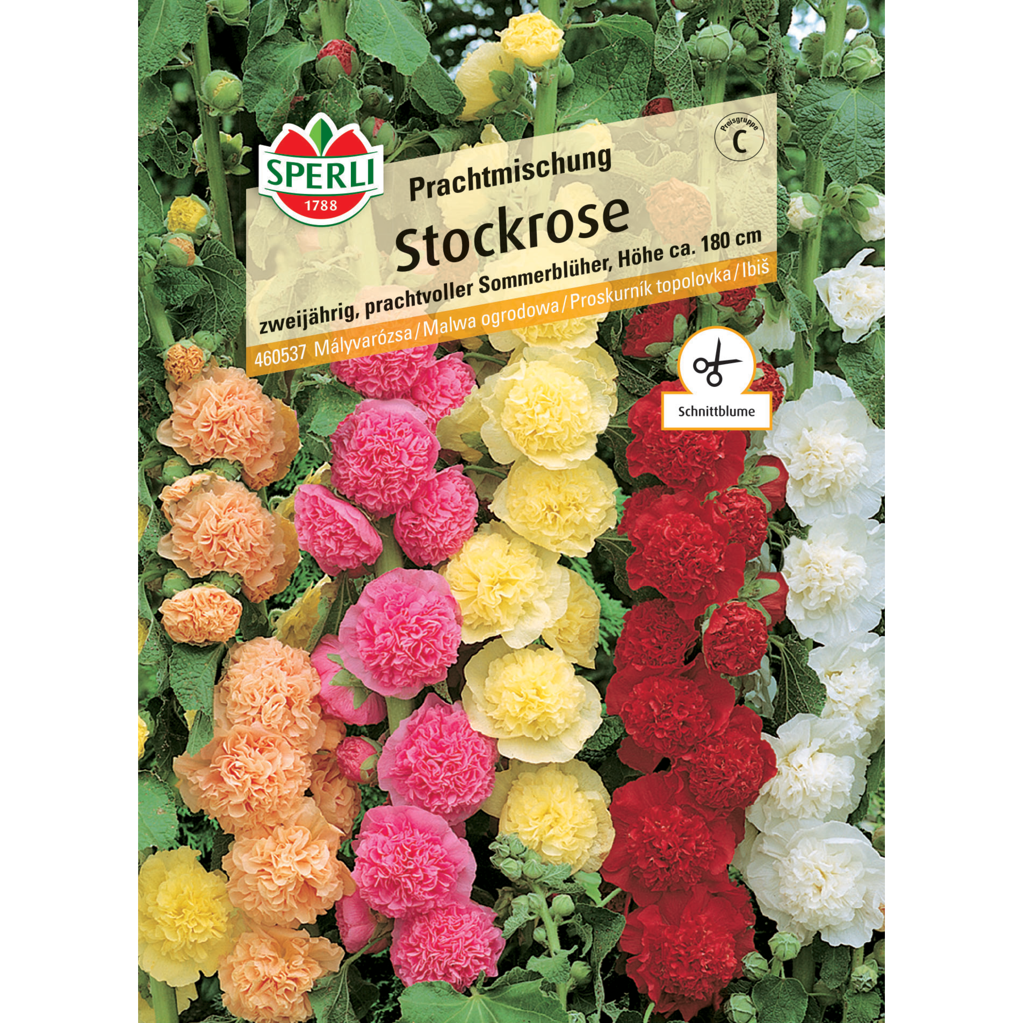 Stockrose Prachtmischung