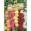 Stockrose Prachtmischung