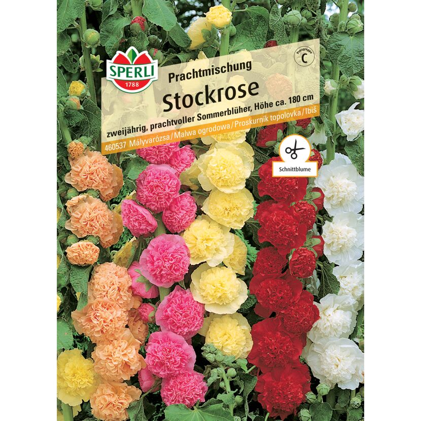 Stockrose Prachtmischung