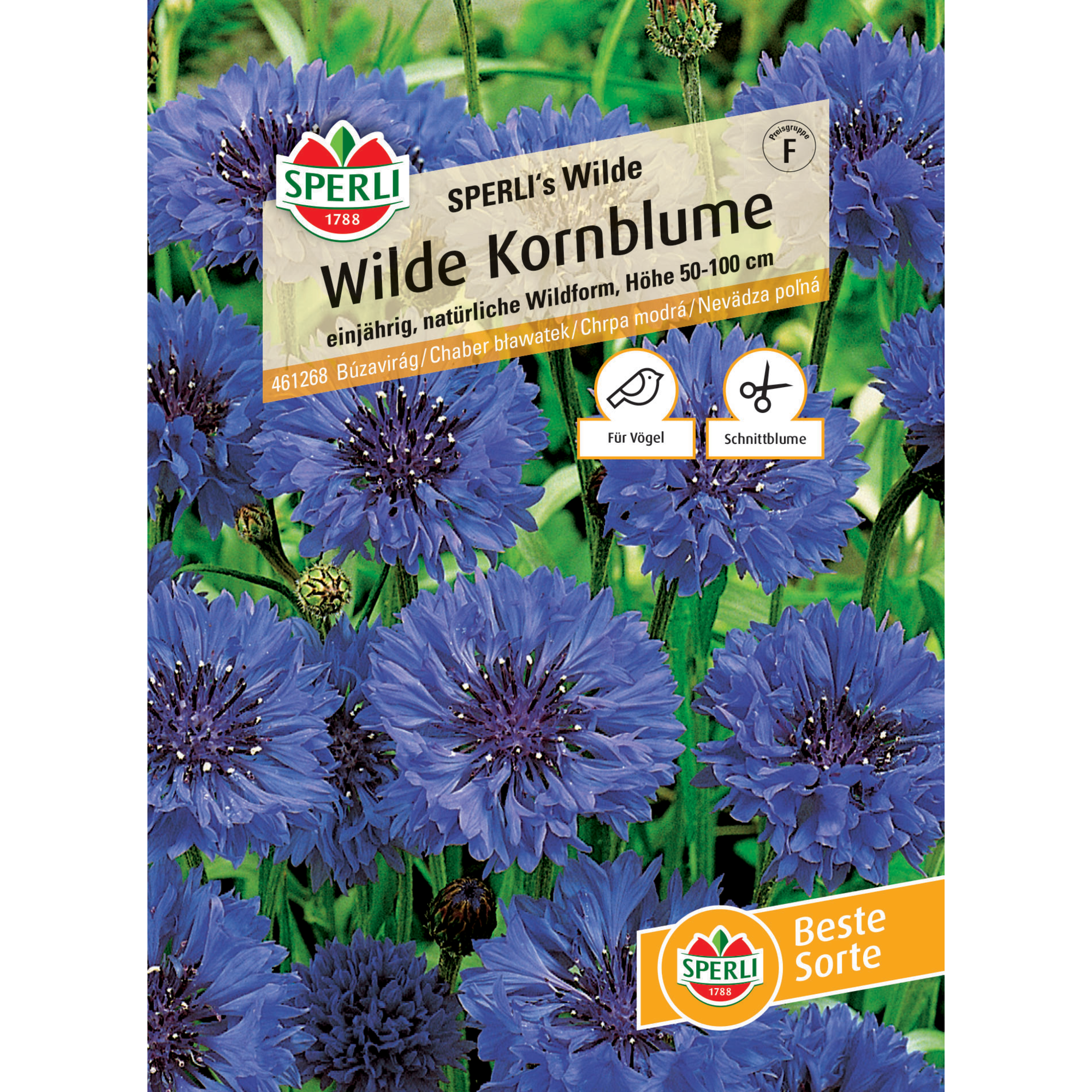 Wilde Kornblume 'SPERLI's Wilde'