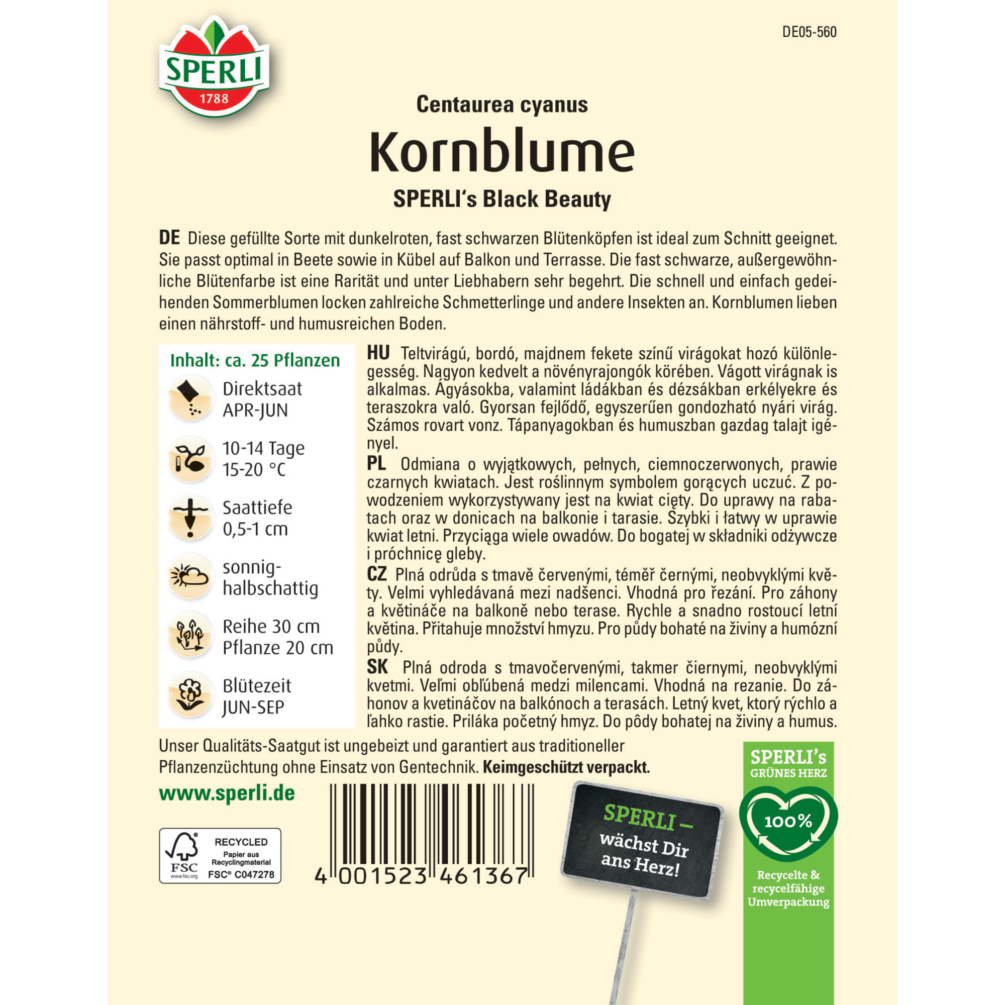 Kornblume 'SPERLI's Black Beauty'