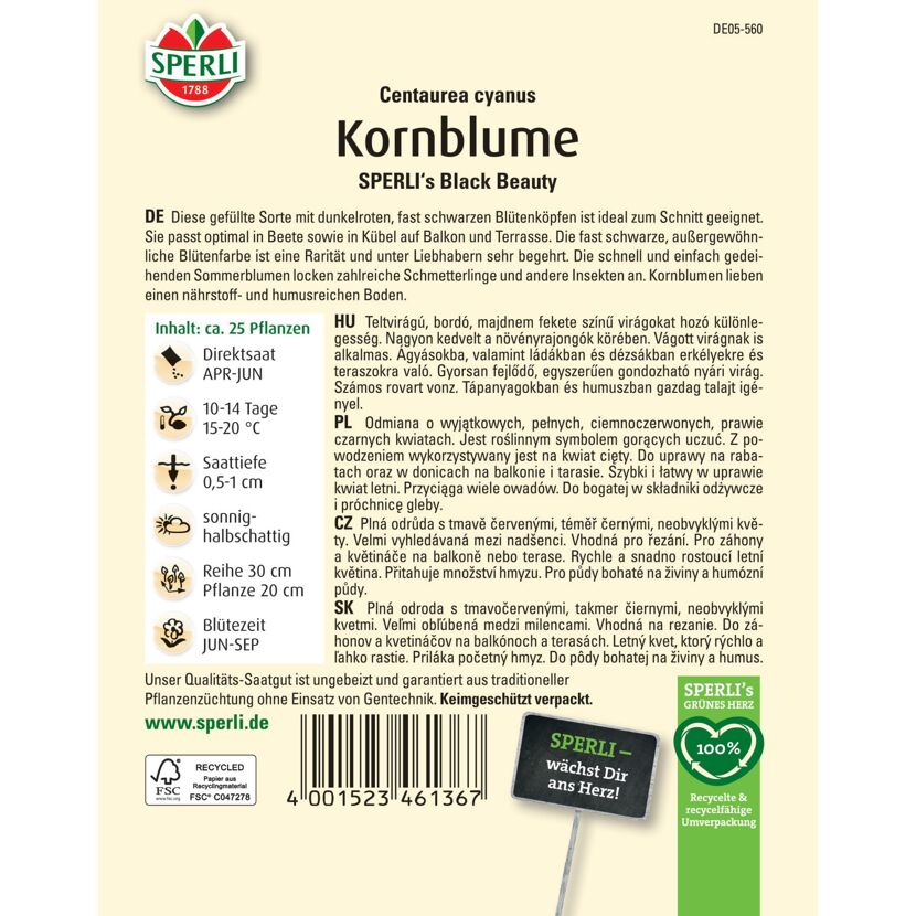 Kornblume 'SPERLI's Black Beauty'