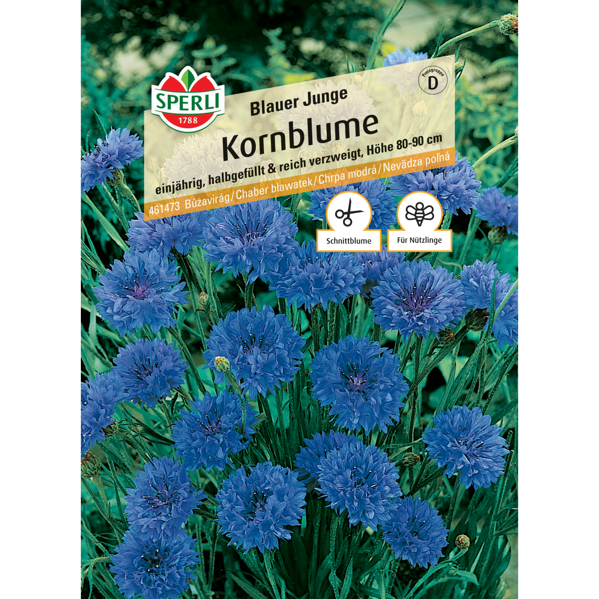 Kornblume 'Blauer Junge'